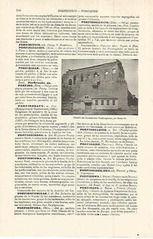 LAMINA ESPASA 15276: Palacio de Constantino Porfirogenito
