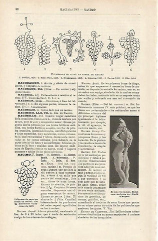 LAMINA ESPASA 15880: Filigranas de papel con forma de racimo