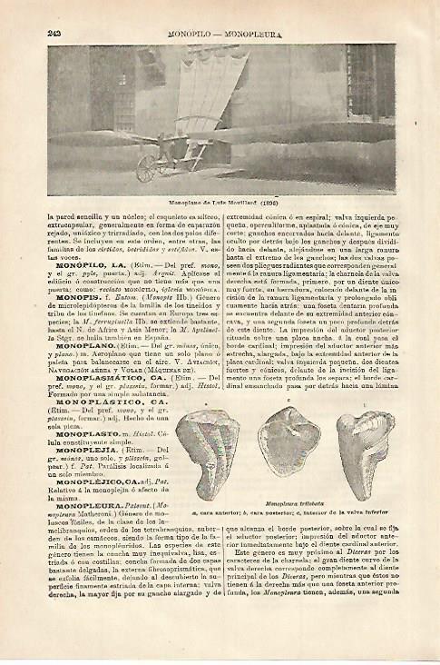 LAMINA ESPASA 27926: Monoplano de Luis Mouillard de 1896