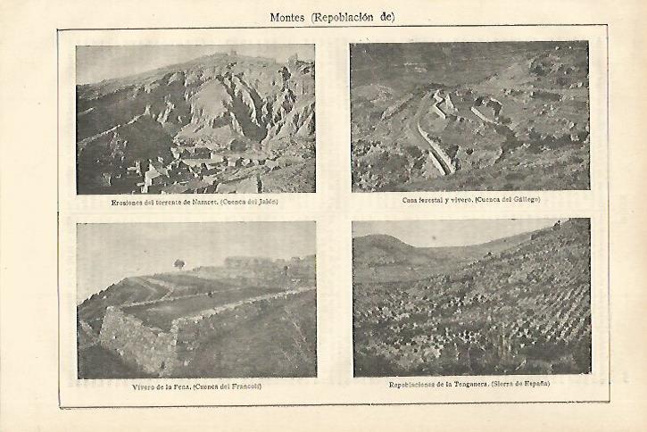 LAMINA ESPASA 27976: Repoblacion de montes
