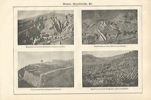 LAMINA ESPASA 27976: Repoblacion de montes