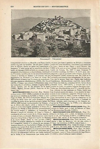 LAMINA ESPASA 27989: Vista de Montecompatri Italia