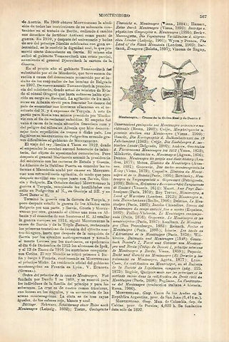 LAMINA ESPASA 27999: Cruces de la Orden Real y de Danilo I de Montenegro