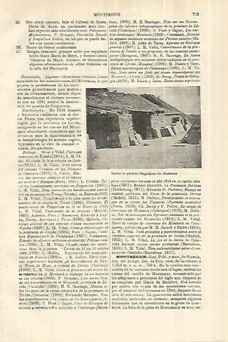 LAMINA ESPASA 28056: Taller de piedras litograficas