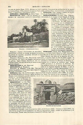 LAMINA ESPASA 28080: Morabito de Beni Bu Ifrur