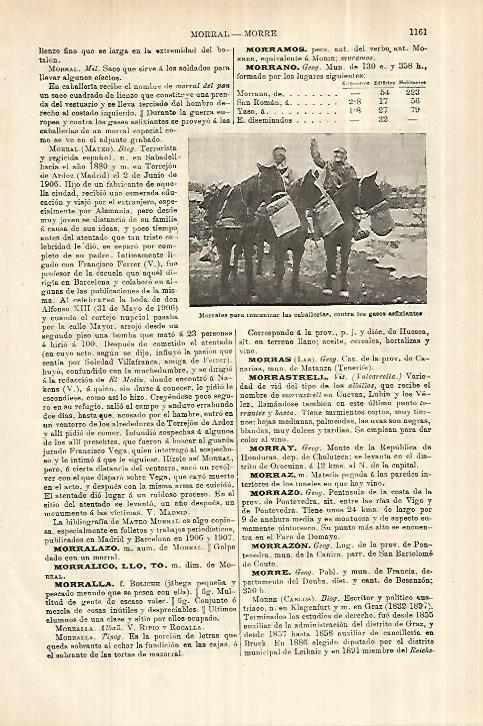 LAMINA ESPASA 28118: Morrales para las caballerias