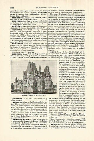 LAMINA ESPASA 28132: Castillo de la O en Mortree Francia