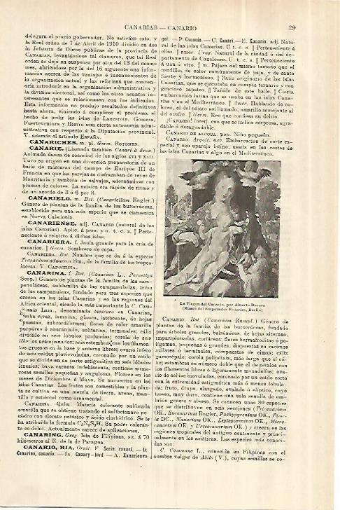 LAMINA ESPASA 28193: La Virgen del Canario por Alberto Durero