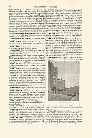 LAMINA ESPASA 28255: Vista de Capalbiio Italia