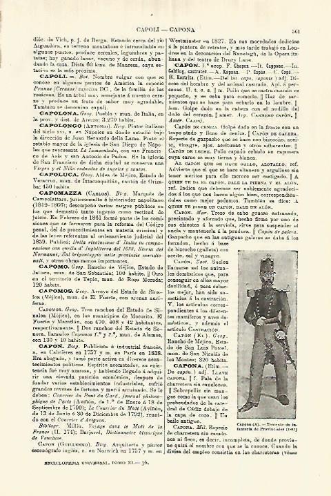 LAMINA ESPASA 28279: Teniente de Infanteria de Provinciales en 1841