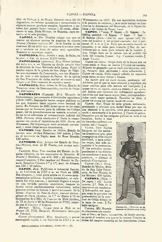 LAMINA ESPASA 28279: Teniente de Infanteria de Provinciales en 1841