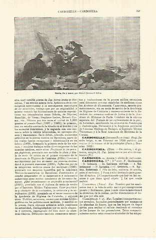 LAMINA ESPASA 28309: Patria Fe y Amor por Selva