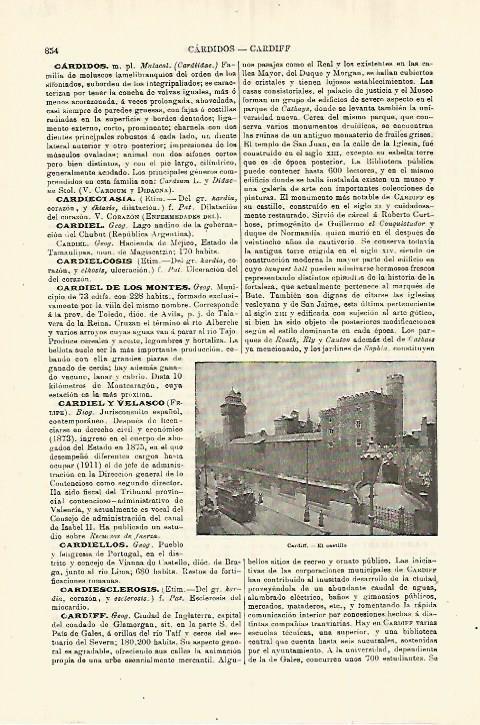 LAMINA ESPASA 28322: Castillo de Cardiff