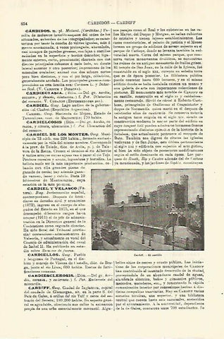LAMINA ESPASA 28322: Castillo de Cardiff