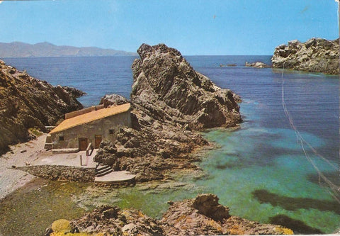 Postal 038342 : Costa Brava detalle de la osta