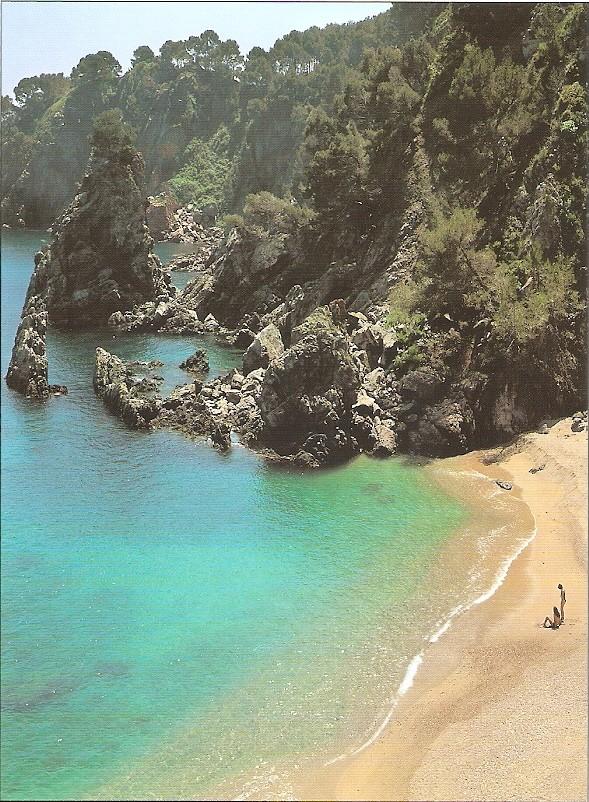 Postal 043596 : Costa Brava