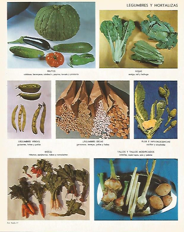 LAMINA LAROUSSE 70239: Legumbres y hortalizas