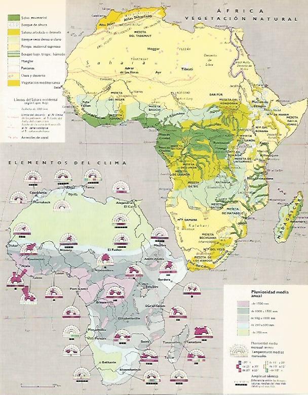 LAMINA LAROUSSE 70267: Mapa de la vegetacion de Africa