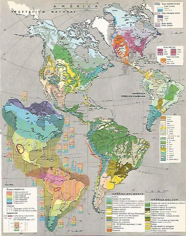 LAMINA LAROUSSE 70278: Mapa de los climas de America