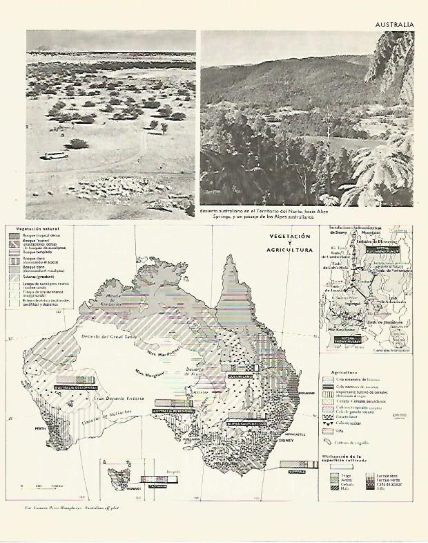 LAMINA LAROUSSE 70293: Mapa de la vegetacion y agricultura de Australia
