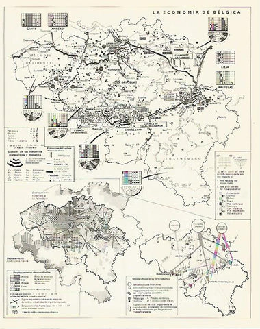 LAMINA LAROUSSE 70309: La economia de Belgica