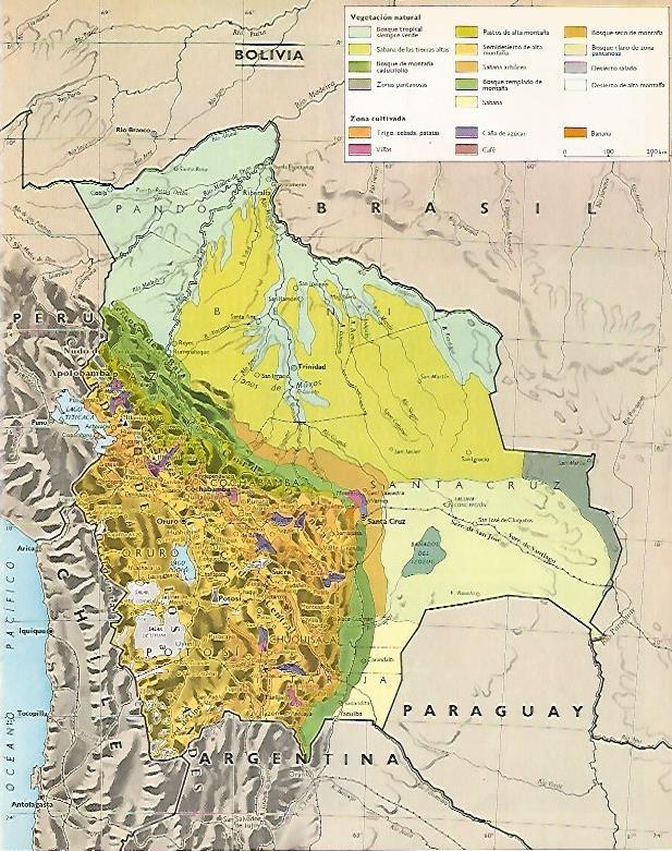 LAMINA LAROUSSE 70313: Mapa de Bolivia