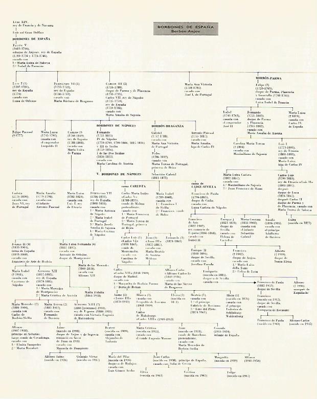 LAMINA LAROUSSE 70315: Arbol genealogico de los Borbones de España