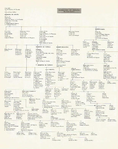 LAMINA LAROUSSE 70315: Arbol genealogico de los Borbones de España