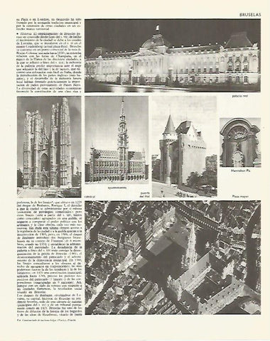 LAMINA LAROUSSE 70319: Vistas de Bruselas