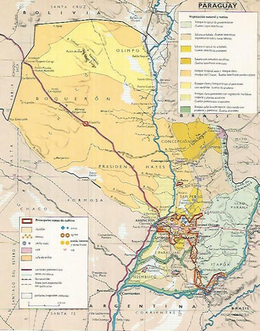 LAMINA LAROUSSE 70337: Mapa de Paraguay