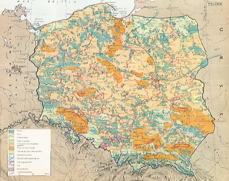 LAMINA LAROUSSE 70346: Mapa de Polonia