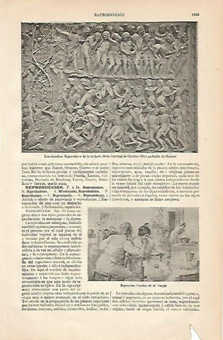 LAMINA ESPASA 1029: Bajorrelieve de la Catedral de Orvieto