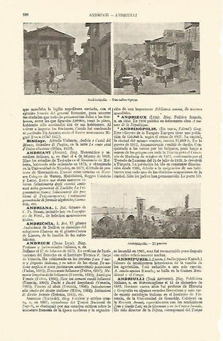 LAMINA ESPASA 10868: Calles de Andrinopolis Turquia