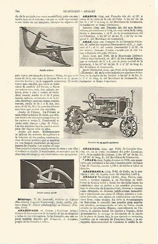 LAMINA ESPASA 10878: Arado polaco tractor de arado y arado vasco