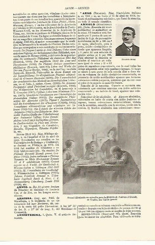 LAMINA ESPASA 10891: Menzel dibujando un episodio para la Historia de Federico el Grande por Arnold