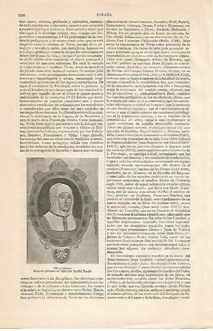 LAMINA ESPASA 10325: Olivia Sabuco por D. Prado