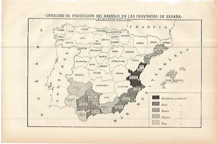 LAMINA ESPASA 10731: Mapa de la produccion de naranjo en España