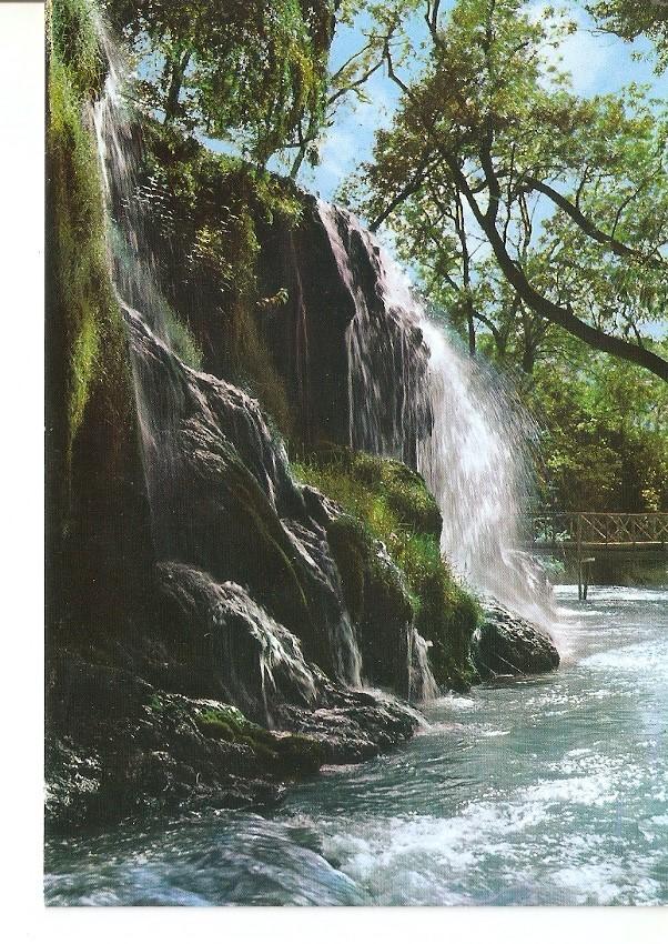 Postal 029810 : Monasterio de Piedra (Zaragoza). Cascada de El Iris