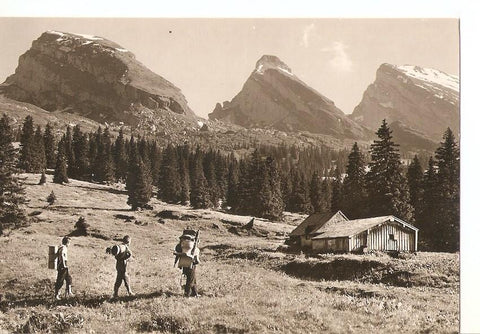 Postal 036145 : Alp Sellamatt mit Churfirsten