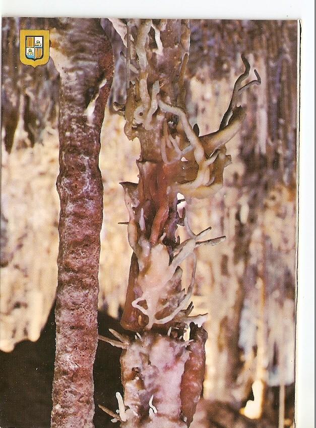Postal 038849 : Cuevas dels Hams. Mallorca. Porto Cristo (Manacor). Sueño de un Angel (Detalle)