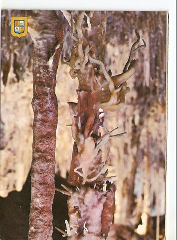 Postal 038849 : Cuevas dels Hams. Mallorca. Porto Cristo (Manacor). Sueño de un Angel (Detalle)