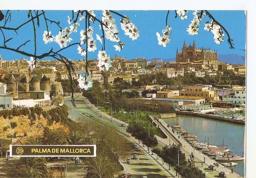 Postal 043388 : Paseo Maritimo - Almendros en flor - Palma de Mallorca