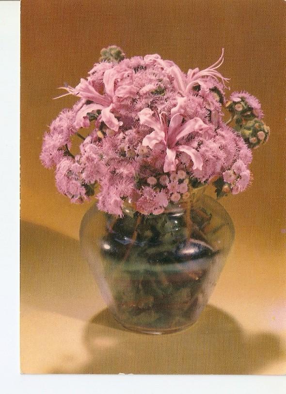 Postal 023343 : Flores