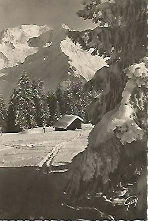 POSTAL 17632: SAINT GERVAIS LES BAINS
