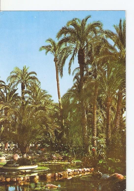 Postal 050027 : Elche. Huerto del Cura. Lago de la Rocalla