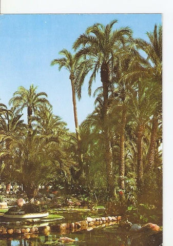 Postal 050027 : Elche. Huerto del Cura. Lago de la Rocalla