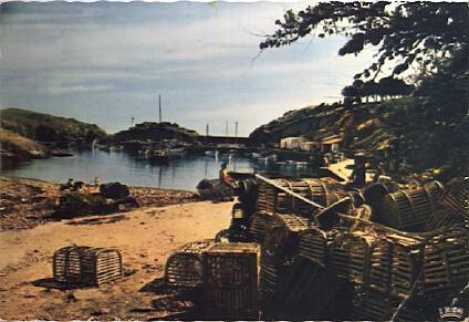 POSTAL 56138: Ily d Yeu Le Port de la Meule