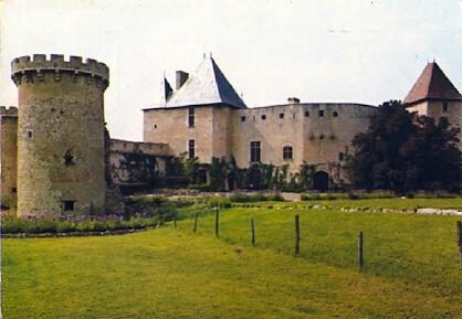 POSTAL 56538: Aigueperse Auvergne Chateau de la Roche