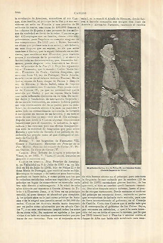 LAMINA ESPASA 28360: El principe Carlos por Sanchez Coello