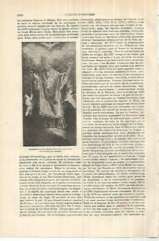 LAMINA ESPASA 28363: Apoteosis de San Carlos Borromeo por Cera